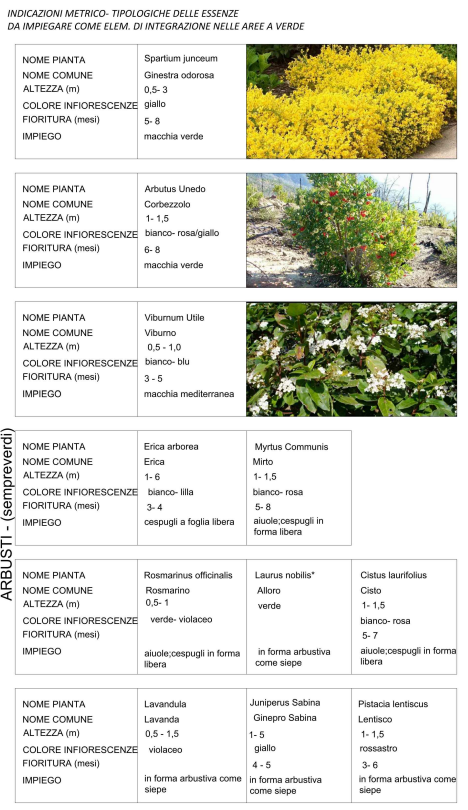 Riqualificazione energetica e antisismica Fasano arbusti